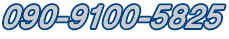 090-9100-5825